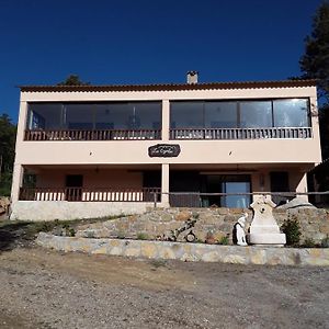 Hotel Gite Les Cigales Chateauvieux  Exterior photo