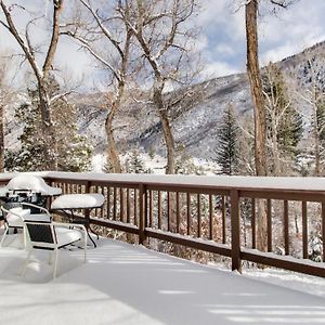 Villa Mt. Sopris Cabin At Filoha Meadows Redstone Exterior photo