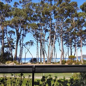 Villa Sea Eagle At Roaring Beach Surveyors Bay Exterior photo