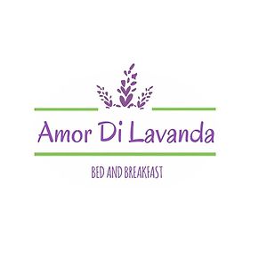 Bed and Breakfast Amor Di Lavanda Cingoli Exterior photo