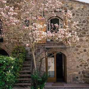 Bed and Breakfast La Magnolia Greve in Chianti Exterior photo