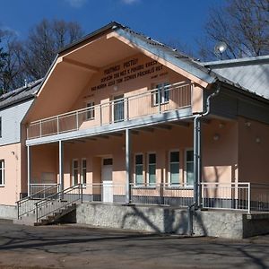 Hotel Penzion Zivec - Restaurace A Ubytovani Písek Exterior photo