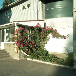 motel Pid Strihoyu Krementschuk Exterior photo