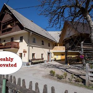 Villa Farmhouse Pri Miklavu Bohinj Exterior photo