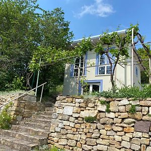 Villa Weinbergshaus mit Blick auf's Wasser Salzatal Exterior photo