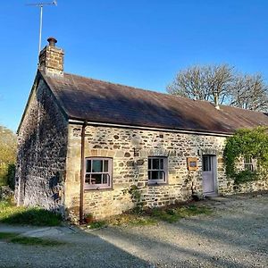 Villa The Rose Barn, Ysgubor Y Rhosyn Llandysul Exterior photo