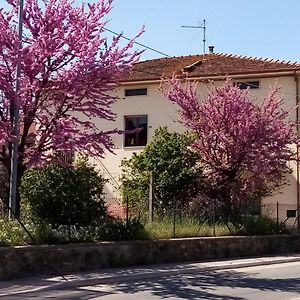 Bed and Breakfast BEDandBIKING Cortona Exterior photo