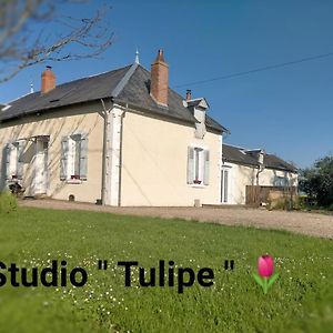 Ferienwohnung Studio "Tulipe" Dans Le Berry Les Bordes Exterior photo