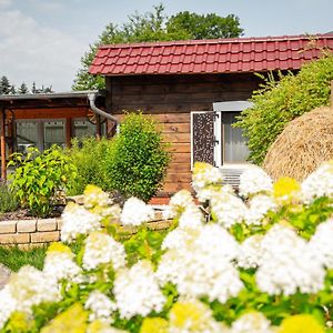 Hotel Spreewald Pension Tannenwinkel Lübbenau Exterior photo