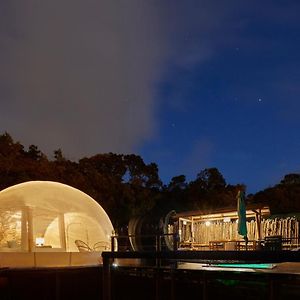 Hotel Bubblesky Glamping 15 Min From Medellin Rionegro Exterior photo