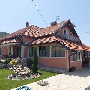 Ferienwohnung Djokic 2 Sa Bazenom Sokobanja Exterior photo