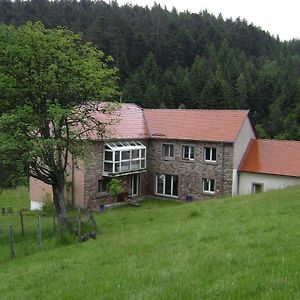 Villa Gite HANSEL de la Ferme du Schneeberg Wangenbourg-Engenthal Exterior photo