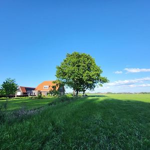 Bed and Breakfast Bed&Breakfast de Vink Terschuur Exterior photo