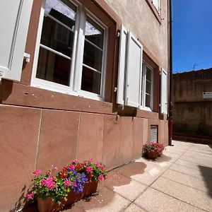 Ferienwohnung Logement De Charme Dans Un Monument Historique Date De 1544, Au Centre De Hagenau Exterior photo