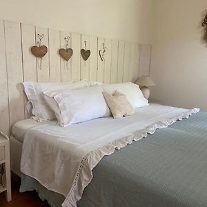 Bed and Breakfast Villa Gina Zero Branco Exterior photo