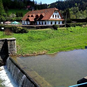 Hotel Penzion U Bušů Mala Bystrice Exterior photo