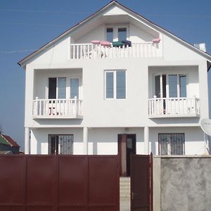 Villa Large House At The Beach. Grigoleti Exterior photo