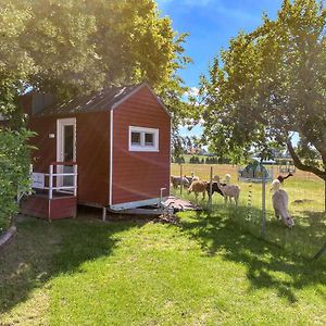 Villa Tiny House auf der Alpaka Farm Rubkow Exterior photo