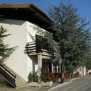 Villa Turisticna Kmetija Birsa Dobravlje Exterior photo