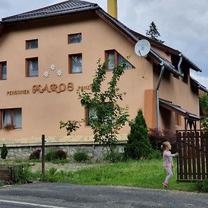 Hotel Pensiunea Maros Izvoru Mureşului Exterior photo