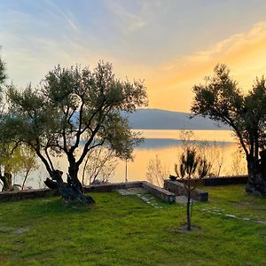 Villa Seafront Traditional Stone House In Sunset Olive Grove - B Alyfanta Exterior photo