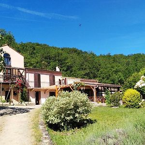 Villa La Metairie De Lamourade, Gite Nature Saint-Ferriol Exterior photo