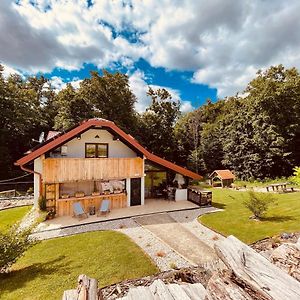 Villa Wellness Holiday House Lagev Moravske Toplice Exterior photo