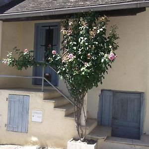 Villa Chaleureuse Petite Maison Avec Jardin Gagnac-sur-Cere Exterior photo