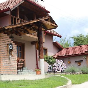 Villa Casa Darius Novaci-Străini Exterior photo