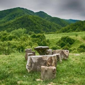 Villa Aleu - Apuseni Mountains Pietroasa  Exterior photo