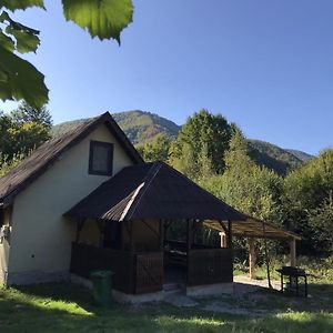Villa Roua - Apuseni Mountains Pietroasa  Exterior photo