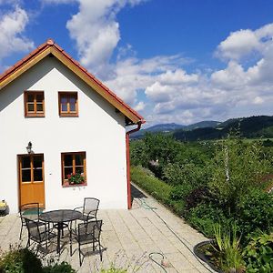 Villa Charming House With Beautiful Landscape Frýdštejn Exterior photo