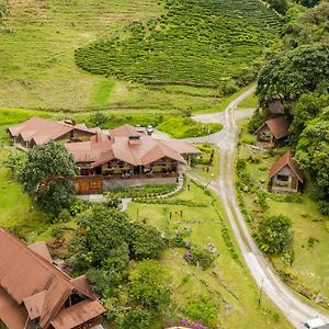 Hotel Tree Trek Boquete Adventure Park Exterior photo