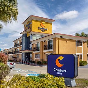 Comfort Inn Castro Valley Exterior photo