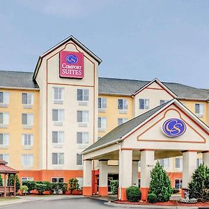 Comfort Suites Concord Mills Exterior photo