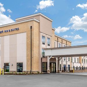 Comfort Inn&Suites Schenectady - Scotia Exterior photo