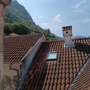 Hotel Nova Dvokrevetna Soba Sa Dva Odvojena Kreveta I Zajednickim Kupatilom Kotor Exterior photo