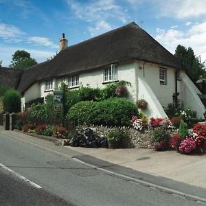 Villa Wellington Farm Devon Near Sidmouth Beach & Aonb- Dog Friendly Honiton Exterior photo