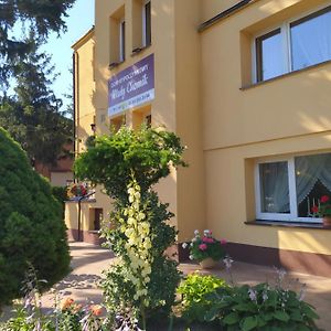 Hotel Dom Wypoczynkowy Maly Chemik Ciechocinek Exterior photo