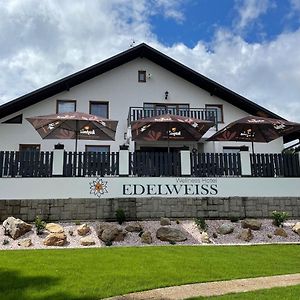 Wellness Hotel Edelweiss Reichenberg Exterior photo