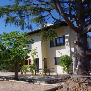 Le Grand Cedre - 2 Chambres D'Hotes - Sud Ardeche Bourg-Saint-Andéol Exterior photo