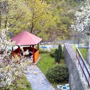 Hotel Forest Spring Narechenski Bani Exterior photo