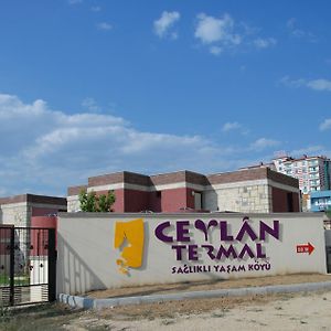 Villa Ceylan Termal Saglikli Yasam Koyu Eskişehir Exterior photo