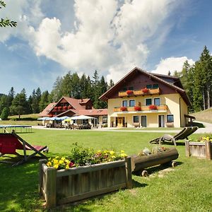 Hotel Alpengasthaus Gießlhütte Wolfsberg Exterior photo