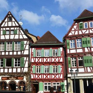 Aparthotel Gästehaus am Marktbrunnen Bretten Exterior photo