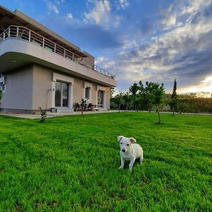 Bed and Breakfast Hilltop Hideaway Elbasan Exterior photo