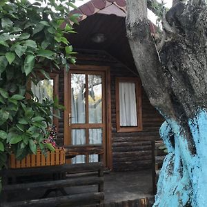 Zeytindagi Bungalow Mehmetalani Exterior photo