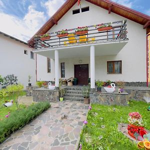 Villa Vila Felicia Borşa Exterior photo
