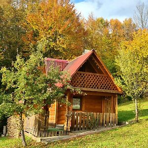 Трембіта Rachiw Exterior photo