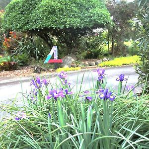 U Beauty - B&B Whangarei Exterior photo